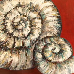 Ammonite