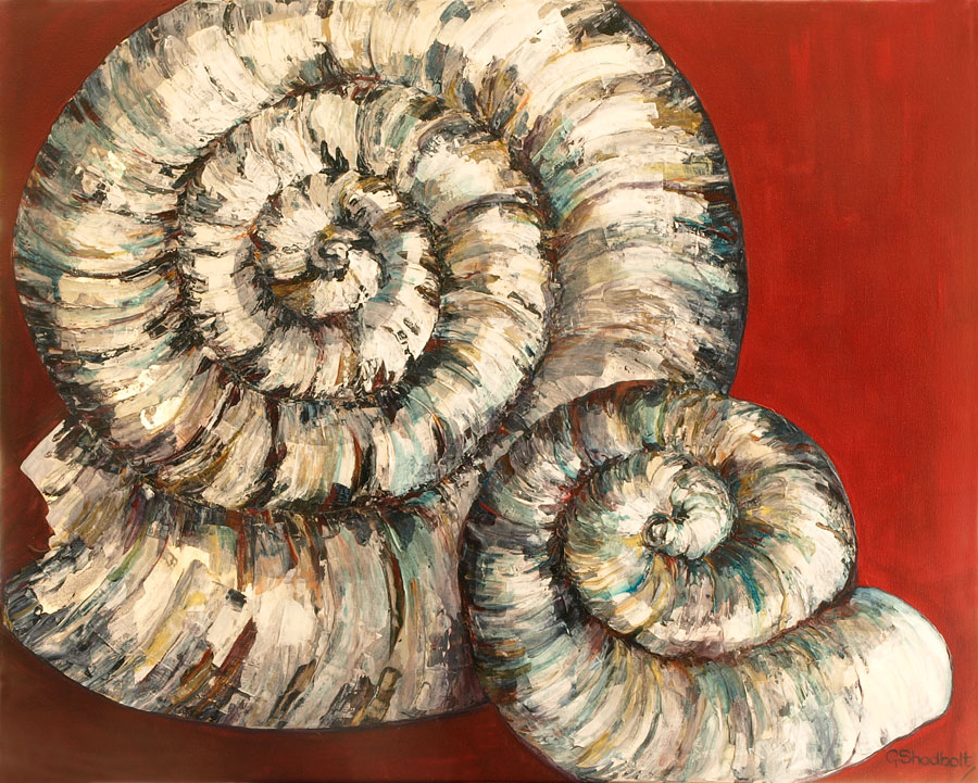 Ammonite