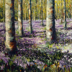 Bluebell Wood