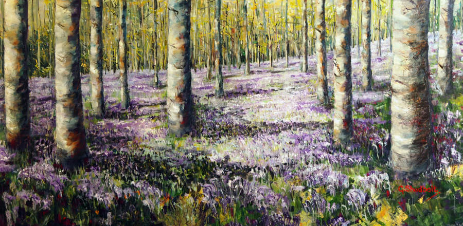 Bluebell Wood