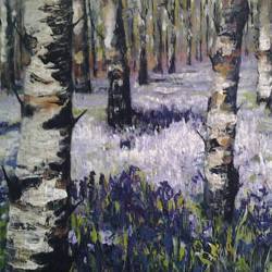 Bluebells and birches