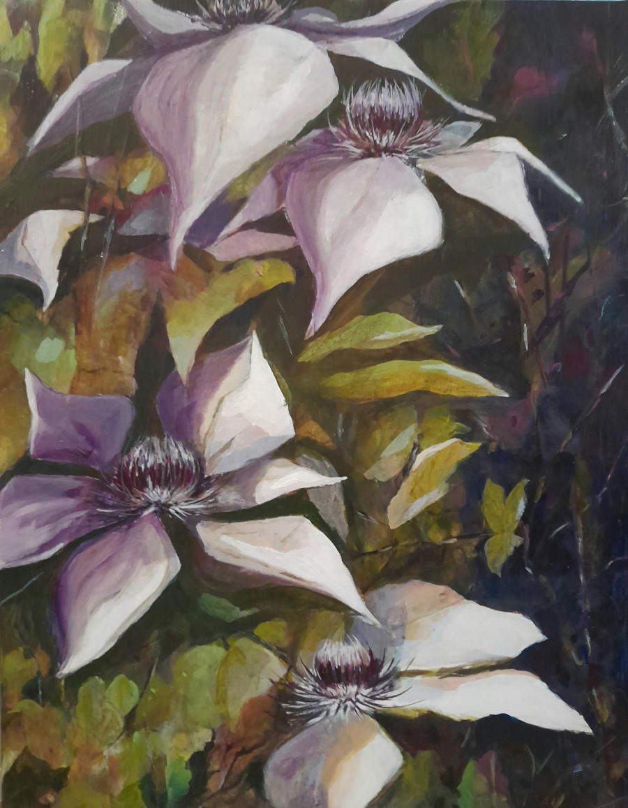 Clematis