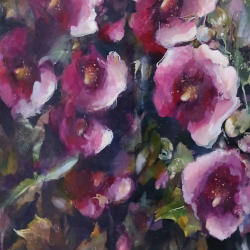 Dark red Hollyhocks