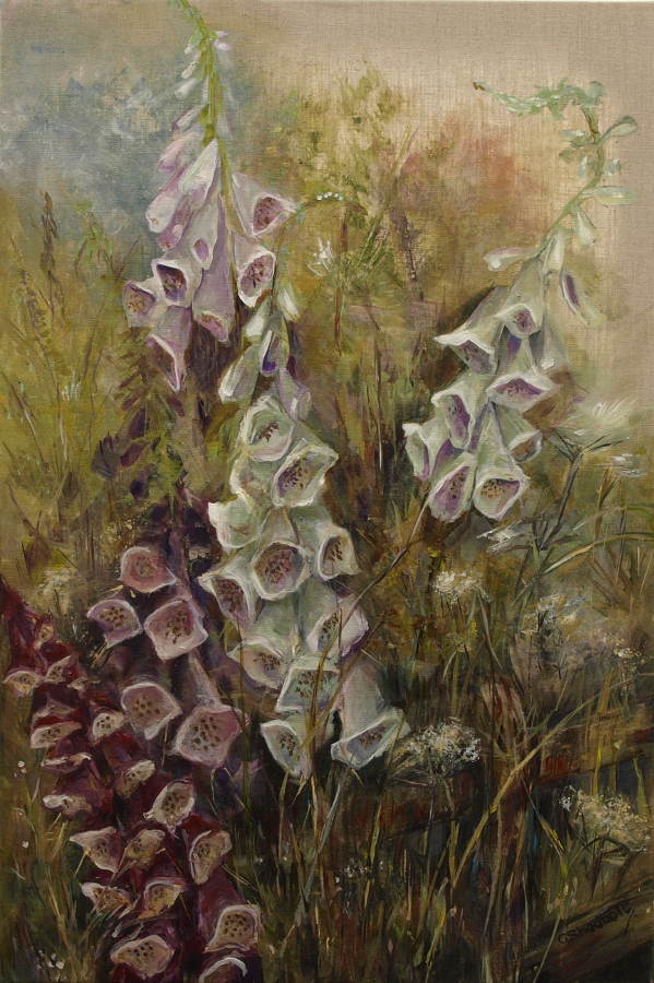 Foxgloves