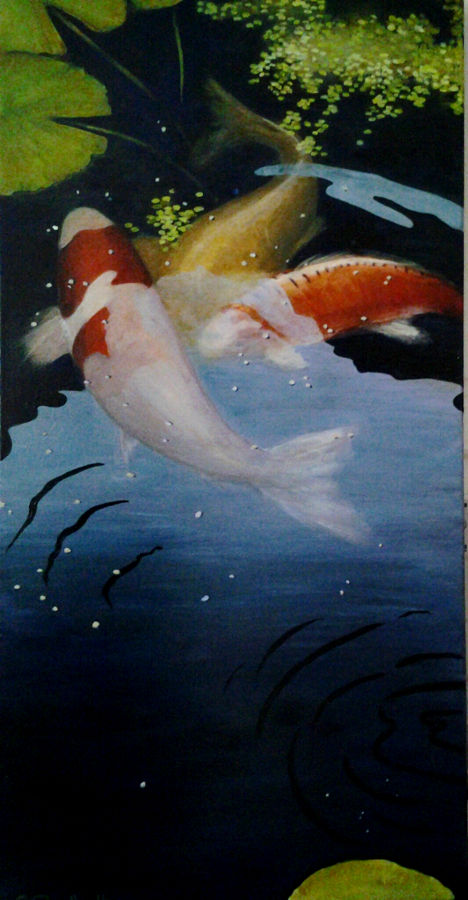 Koi