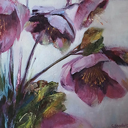 Hellebores