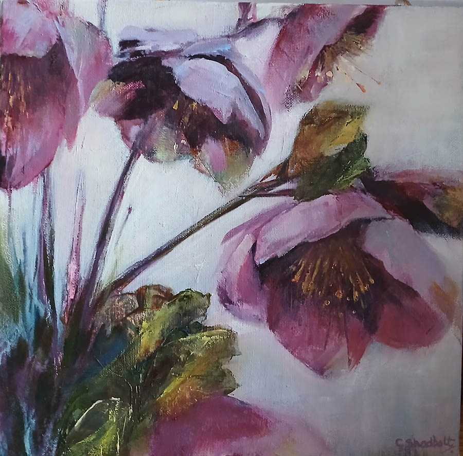 Hellebores