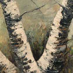 Silver Birch