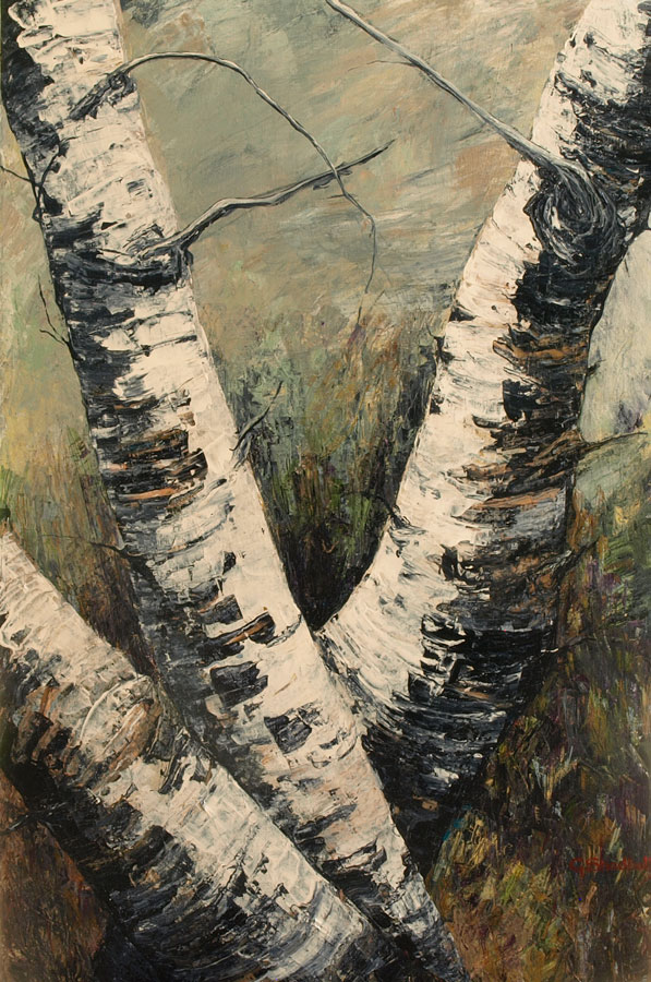 Silver Birch