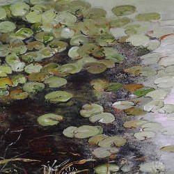 Water Lilies