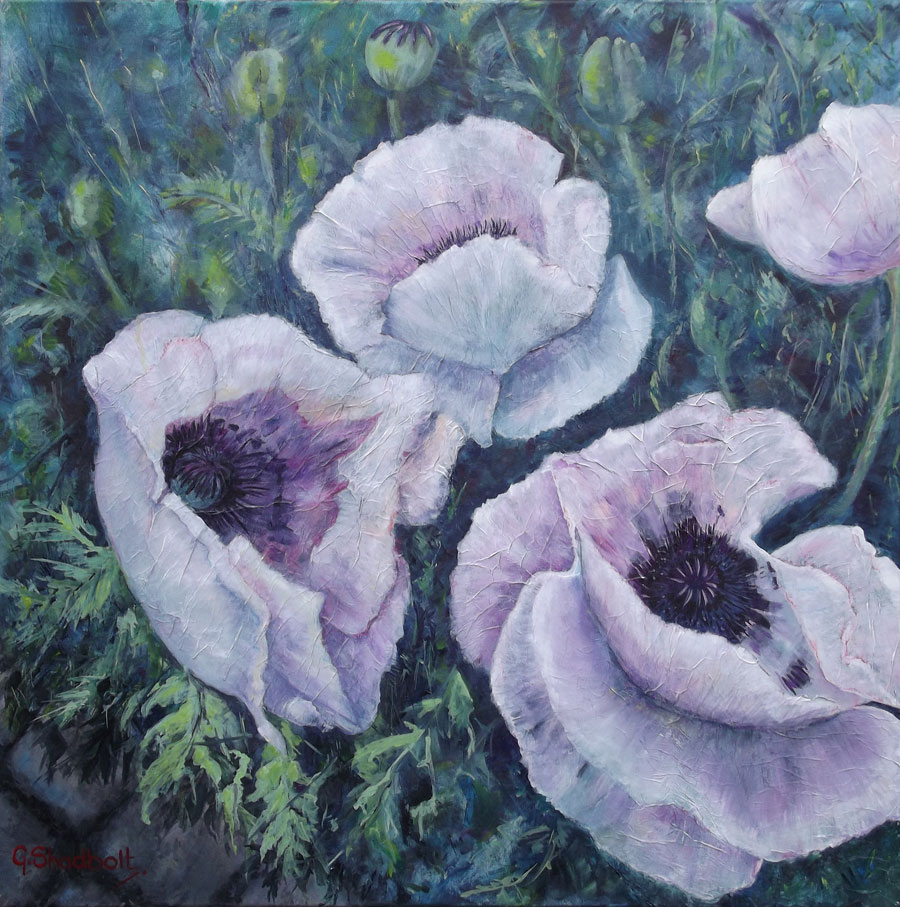 White Poppies